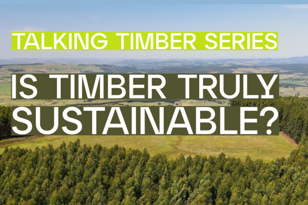 Now on YouTube | Talking Timber: Is Timber Truly Sustainable?