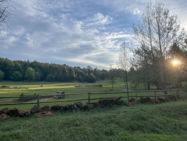 Sawmilling In The Shadow Of The Dragon