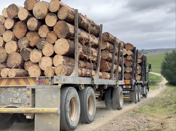 Sawmilling