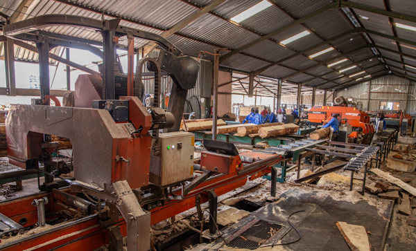 Sawmilling