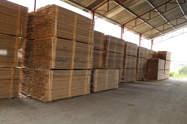 Sawmilling