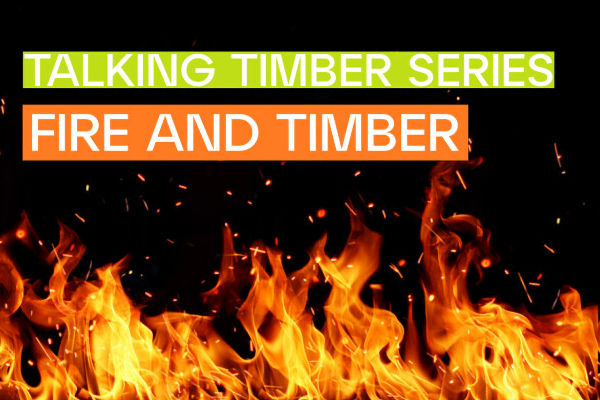 July Talking Timber webinar Fire and Timber featured 600x400 1 from Sawmilling South Africa